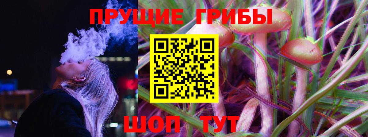 Тихвин  где продают   Вход с VPN  Галлюциногенные грибы Cubensis 